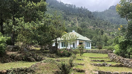 Haldummulla Estate Others