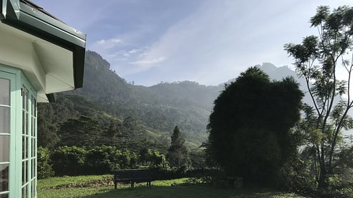 Haldummulla Estate Others