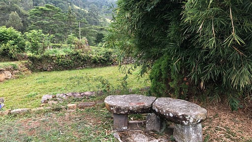 Haldummulla Estate Surroundings