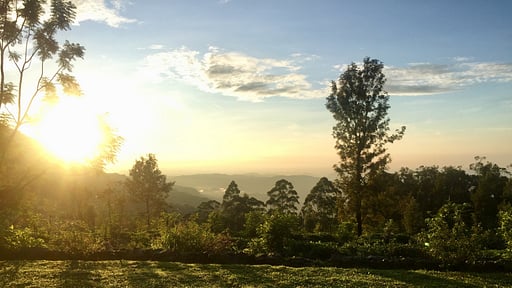 Haldummulla Estate Surroundings