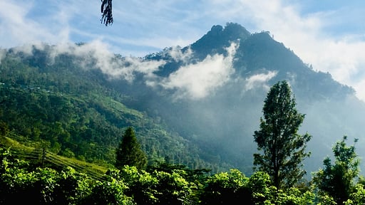 Haldummulla Estate Surroundings