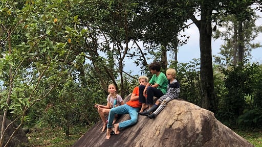 Haldummulla Estate Surroundings