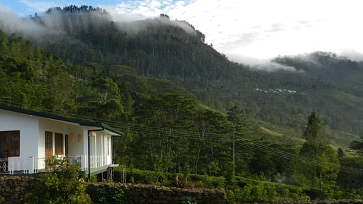 Haldummulla Estate Garden