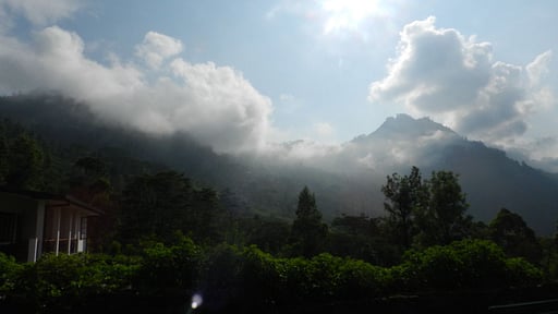 Haldummulla Estate Surroundings