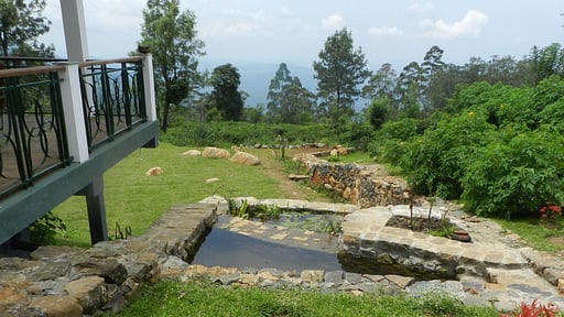 Haldummulla Estate Garden