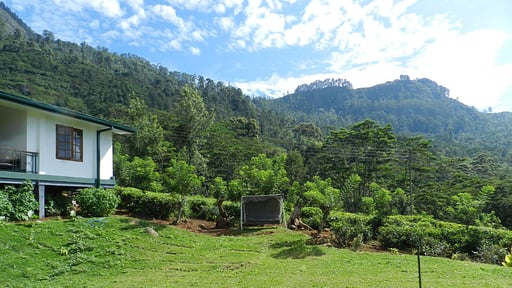 Haldummulla Estate Garden