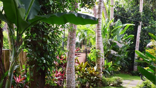 Hatiku Di Bali Villa Others