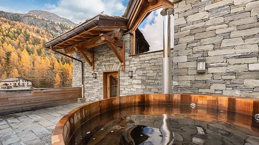Chalet Hermine Blanche Others