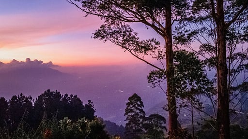 Highgrove Estate Andere