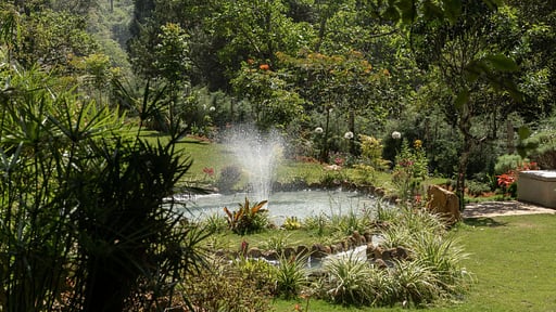 Highgrove Estate Garten