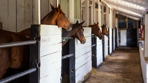 Hill Rise Luxury Villa & Stables Others