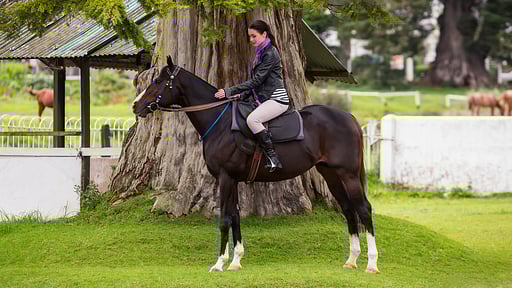 Hill Rise Luxury Villa & Stables Others