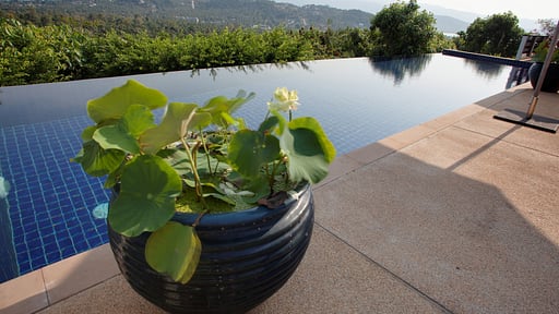 Villa Alpha Swimming pool