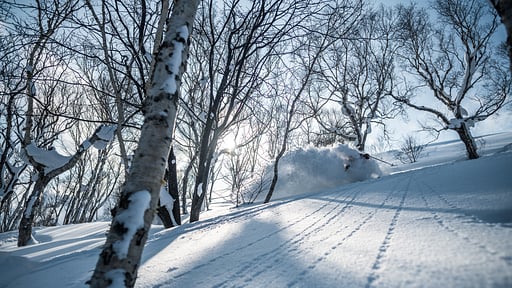 Hirafu House Youtei One Others