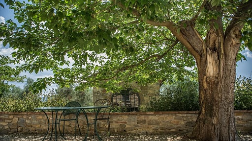 Ibisco Apartment Garden