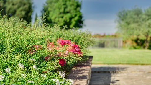 Il Cortile Apartment Andere