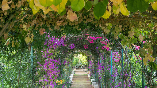 Villa Il Giardino Ritrovato Garden