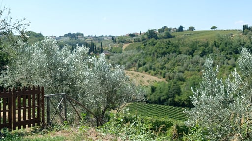 Il Giogo Garden