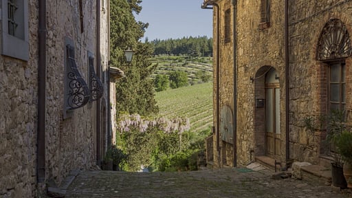 Il Nespolo Charming Apartment Fonterutoli Umgebung