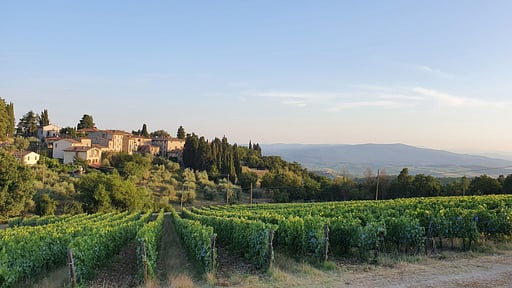 Il Nespolo Charming Apartment Fonterutoli Umgebung