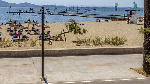 Ivory Apartment Surroundings