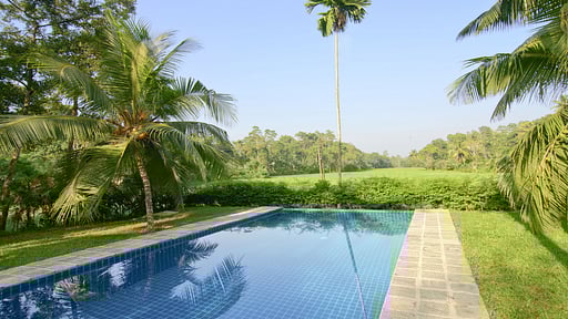 Ivory House Swimming pool