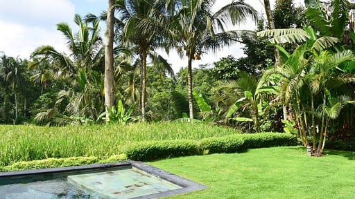 Jiwaku Di Bali Villa Swimming pool