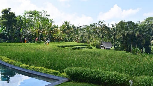 Jiwaku Di Bali Villa Swimming pool