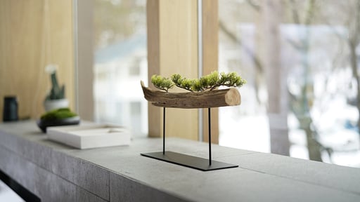 Kairos by The Mountain Others 