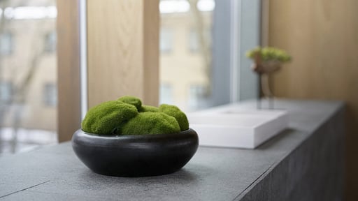 Kairos by The Mountain Others 