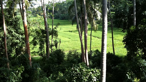 Kalahe House Surroundings