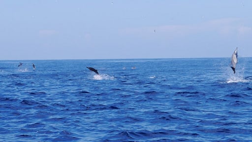 Khomba Beach House Beach