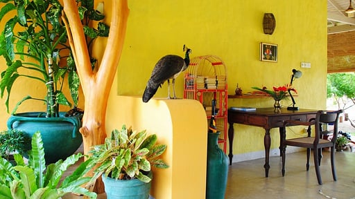 Khomba Beach House Others