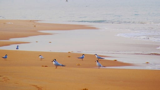 Khomba Beach House Beach