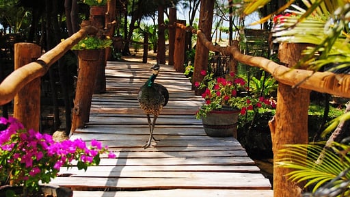 Khomba Beach House Beach