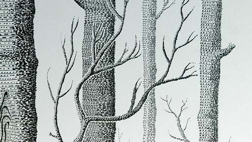 Kira Kira Studio Others