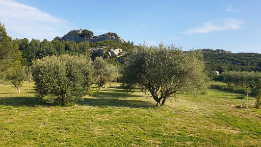 La Bastide de Flechon Surroundings