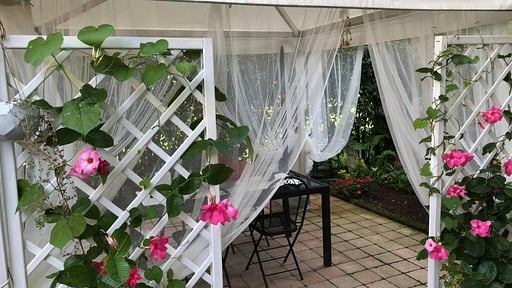 La Bouganville Alentours