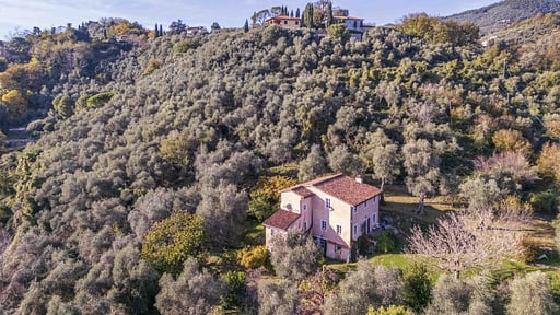 La Casa Dei Limoni Andere