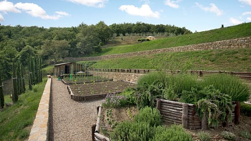 Villa La Maccinaia 10 Garden