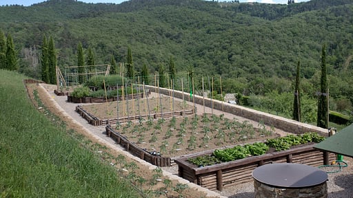 Villa La Maccinaia 10 Garden