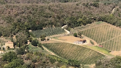 La Maccinaia 14 Garden