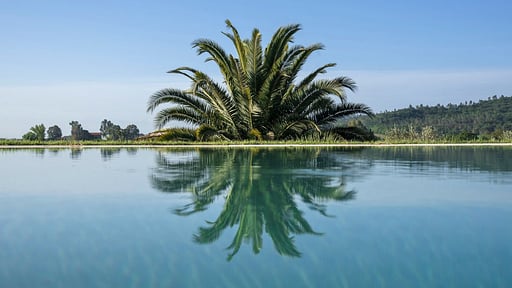 Villa La Miniera Swimming pool