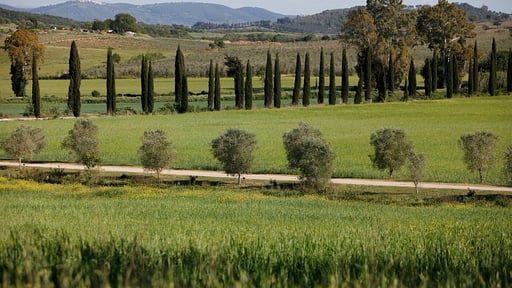Villa La Miniera Surroundings