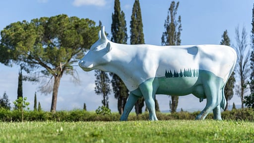 Villa La Miniera Surroundings