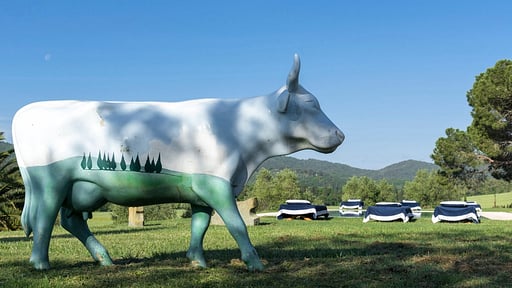 Villa La Miniera Surroundings