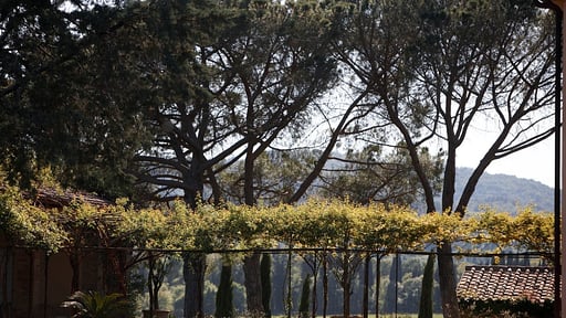 Villa La Miniera Surroundings