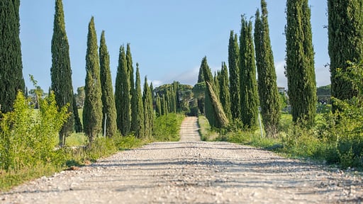 Villa La Miniera Surroundings