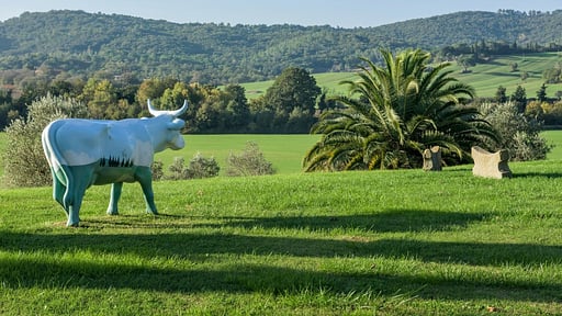 Villa La Miniera Surroundings