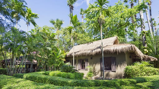 La Palmeraie Estate Garden